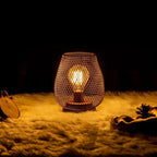 Modern Nordic Industrial Bird Cage Decorative Desk Lamp with Flexible Iron Frame LED Night Light for Bedroom Use