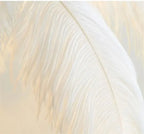 Living Room Sofa Side Floor Lamp Nordic Creative Ostrich Feather Standing Floor Light Home Decor Indoor Bedroom Bedside Fixture