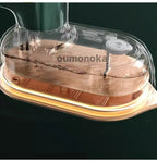 Handheld Clothing Plate Iron for Clothes Voor Mini ironing Machine Portable Travel Steam Iron Home Appliance Garment Steamer